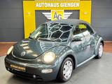 Volkswagen New Beetle Cabriolet 1.4, TÜV Neu! - Volkswagen New Beetle mit Benzin-Antrieb: Cabrio, 1.4