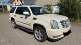 Cadillac Escalade GMT900 Sport Luxury- LPG Gas - Cadillac Escalade Gebrauchtwagen