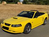 Ford Mustang GT 4,6l V8 Cabriolet TÜV bis ... - Ford aus 2001