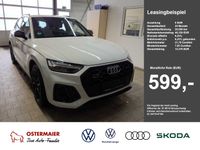 Audi SQ5 - Vorschau Bild 1