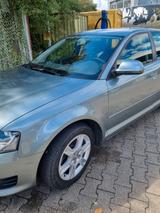 Audi AUDI, A3 Sportback, 8 P 1,6 TDI, Kondorgra... - Audi A3 aus 2010 mit Diesel-Antrieb