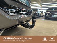 Cupra Terramar - Vorschau Bild 12