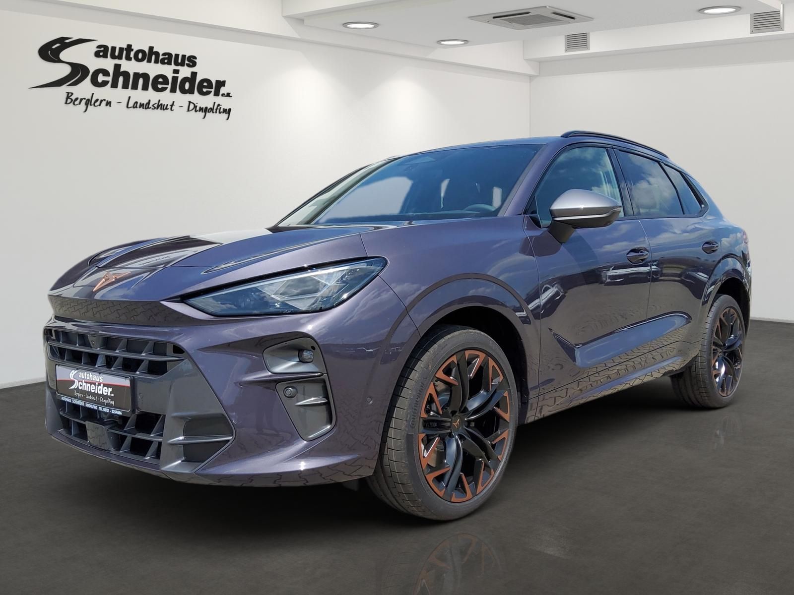 CUPRA TERRAMAR VZ 2.0 TSI DSG 4WD AHK/STHZ/PANO/MATRIX