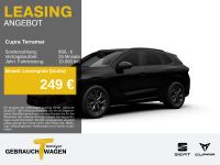 Cupra Terramar - Vorschau Bild 1