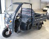 Andere NERO  Thunder Pro Elektro Lastendreirad L2e-U - ELEKTRO MOFA