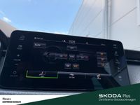 Skoda Kamiq - Vorschau Bild 19