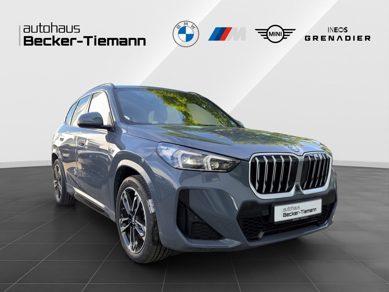 BMW X1 xDrive30e M-Sport AHK HUD DrivAssProf. ParkAs foto 8