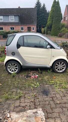 Smart fortwo 8 fach bereift