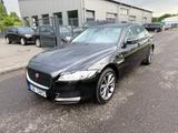 Jaguar XF 2.0 Prestige Autom/Navi+Camera/Leder/Panorama - Jaguar XF: Prestige