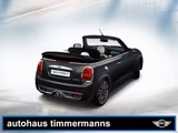 MINI Cooper S Cabrio Aut 18" Kamera DAB - MINI Cooper S Cabrio Gebrauchtwagen