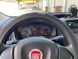 Fiat Qubo Kastenwagen - Fiat Qubo von privat