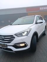 Hyundai Santa Fe 7 Sitzer/4x4/Leder/19Zoll... - Hyundai SANTA FE in Ludwigshafen
