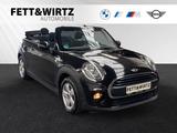 MINI One Cabrio Sportsitz|Sitzhzg.|Navi|Pepper - MINI One Cabrio Gebrauchtwagen