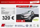 Skoda Enyaq iV60 320,-ohne Anzahlung Pano AHK Matrix - graue Skoda Enyaq