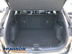 Foto Nummer 11: FORD Kuga