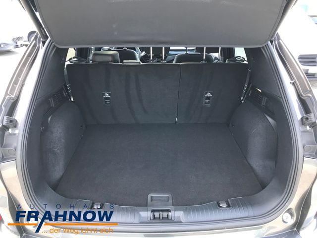 Foto Nummer 11: FORD Kuga