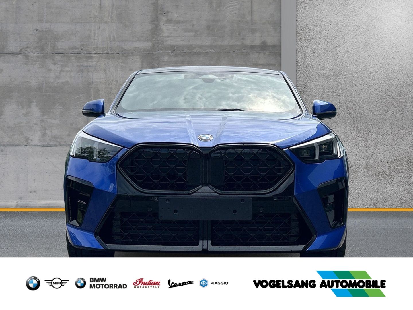 Fahrzeugabbildung BMW X2 20i sDrive M Sport Park-Assistent Sportpaket