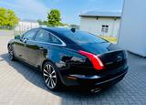 Jaguar XJ50 3.0 V6 Diesel Limited Edition Rarität  355€ - Jaguar XJ: 5.0