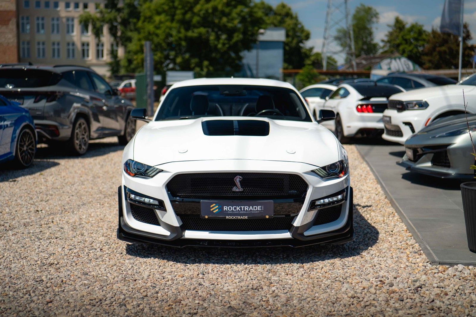 Fahrzeugabbildung Ford Mustang Shelby GT 500 5.0 V8 Performance LED 19%