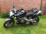 Aprilia Shiver 750 - APRILIA SHIVER 750