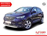 Opel Grandland X 1.5 CDTI LED Navi Totwinkel Kamera - blaue Opel Grandland (X)