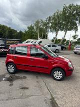 Fiat Panda 1.2 8V Dynamic - Fiat Panda Dynamic mit Benzin-Antrieb