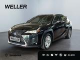 Lexus UX 250h Business Edition *ACC*Kamera*CarPlay*SHZ - Lexus aus 2021