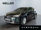 Lexus UX 250h Business Edition *ACC*Kamera*CarPlay*SHZ - Lexus aus 2021