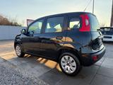 Fiat Panda Easy Sportsitze Sport Lenkrad - gebrauchte Fiat Panda aus dem Jahr 2016