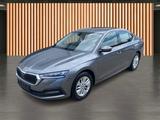 Skoda Octavia 1.0 TSI DSG Ambition*Einparkhilfe*LED - Skoda aus 2023
