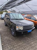 Land Rover Range 3.0 Td6 Vogue - Land Rover Range Rover aus 2002