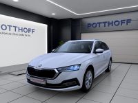 Skoda Octavia - Vorschau Bild 2