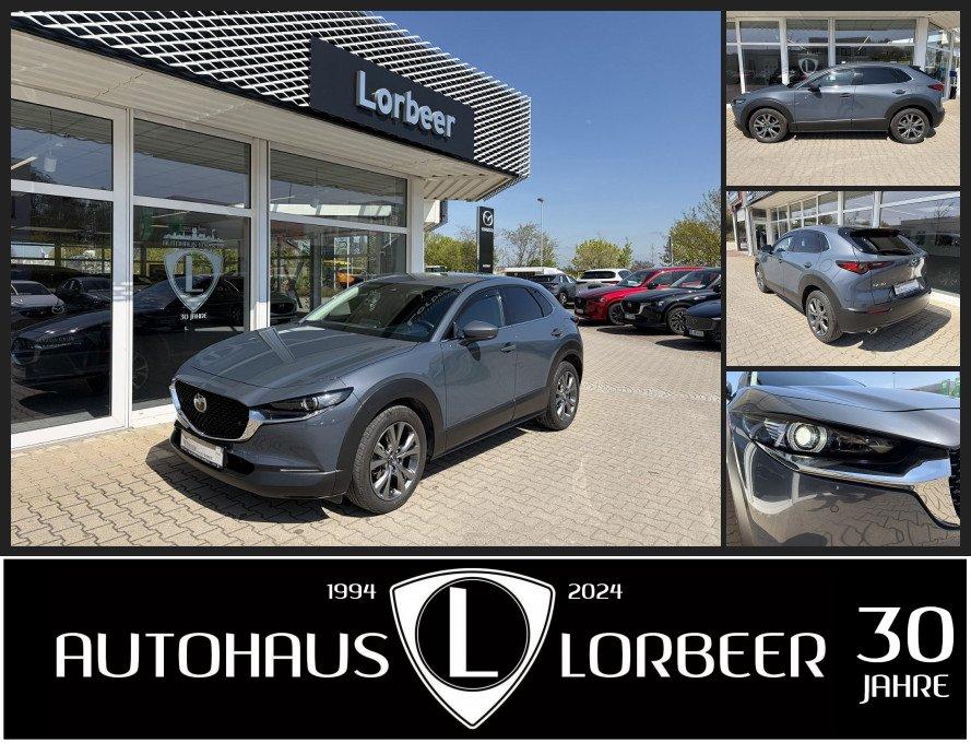 Mazda CX-30 M-HYBRID X-179PS SELECTION DES-P ACT-P NAV