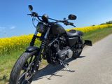 Harley-Davidson IRON 883 Sportster  - Angebote entsprechen deinen Suchkriterien