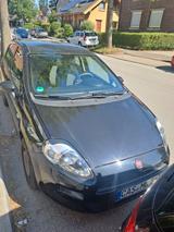 Fiat Punto 1.2 8V - - Fiat Punto in Dortmund