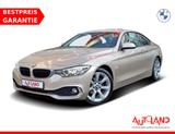 BMW 418d Advantage Bi-Xenon Tempomat Sitzheizung PDC - BMW 418 Gebrauchtwagen