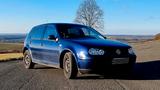 Volkswagen VW Golf IV 1.4 Pacific / TÜV NEU - Volkswagen Golf mit Benzin-Antrieb: Kleinwagen, Pacific