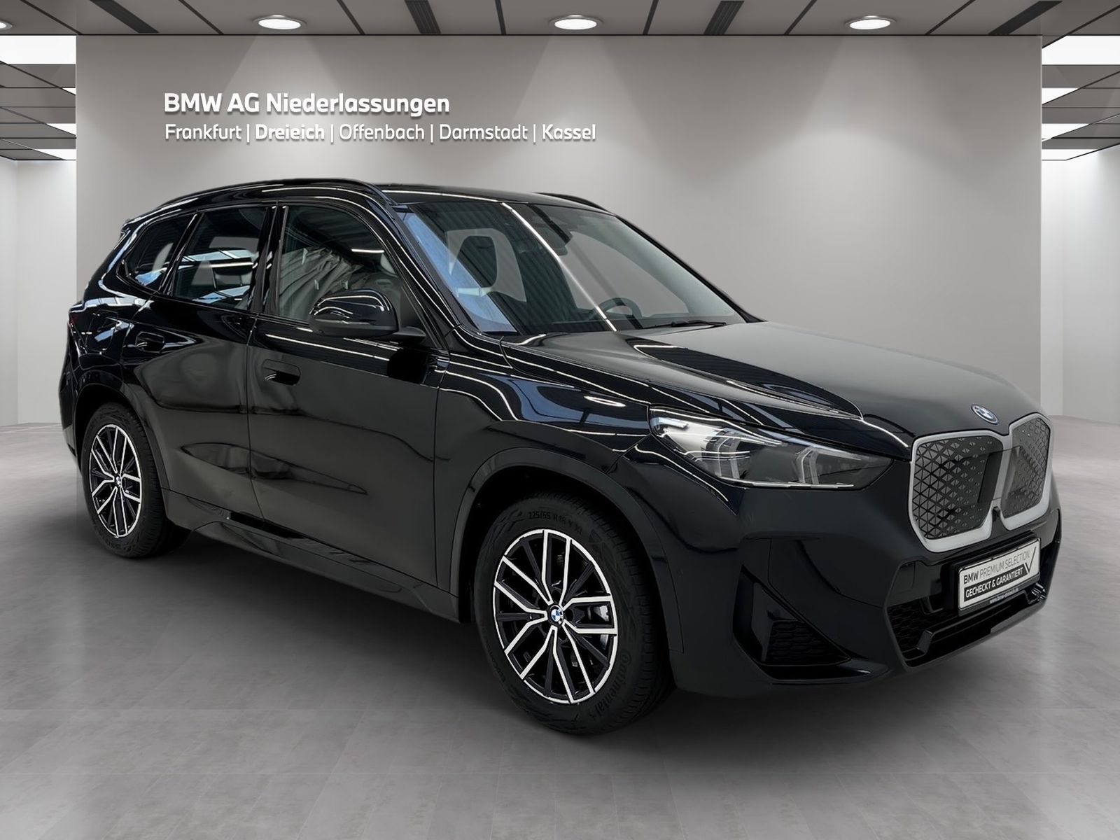 BMW iX1 xDrive30 M Sport AHK Driv.Assist.Prof LED foto 3