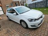 Volkswagen VW Golf VII 82.000 km PDC*Klima*Bluemotion - Volkswagen Golf: Vi Km 0