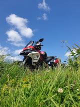 Ducati Multistrada 1260 Enduro  - DUCATI MULTISTRADA 1260