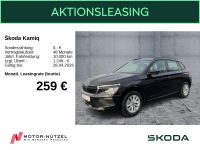 Skoda Kamiq - Vorschau Bild 1