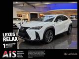 Lexus UX 300h F Sport Design ACC FLA SpurH LM - Lexus UX in Dresden