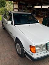Mercedes-Benz Mercedes 200 D H - Zulassung W124 - Mercedes-Benz 200 in Frankfurt (Main)