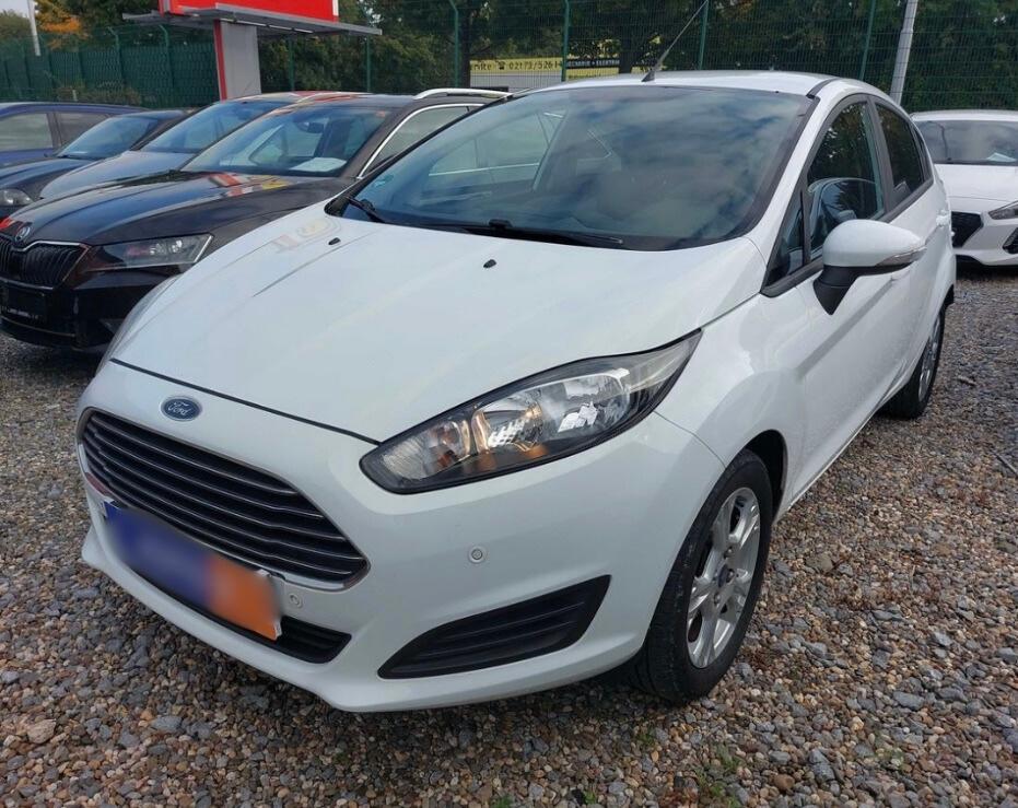 Ford Fiesta Sync*Zahnriemenriss*Beschreibung lesen