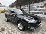 Ford Kuga 1.5  Titanium ACC TWA Winter-P. - Ford Kuga aus 2025