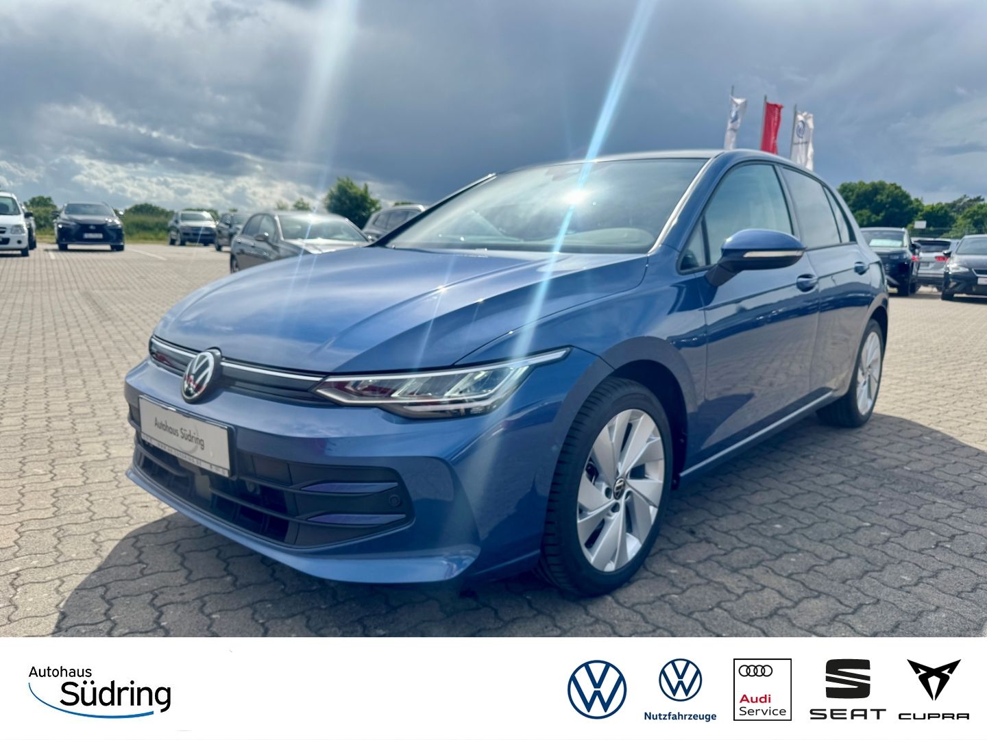 Golf VIII 1,5 TSI Life AHK  Panodach PDCv+h