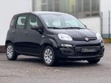 Fiat Panda 1.2*SERVICE NEU*KLIMA*REIFEN-NEU - Fiat Panda: Schwarz