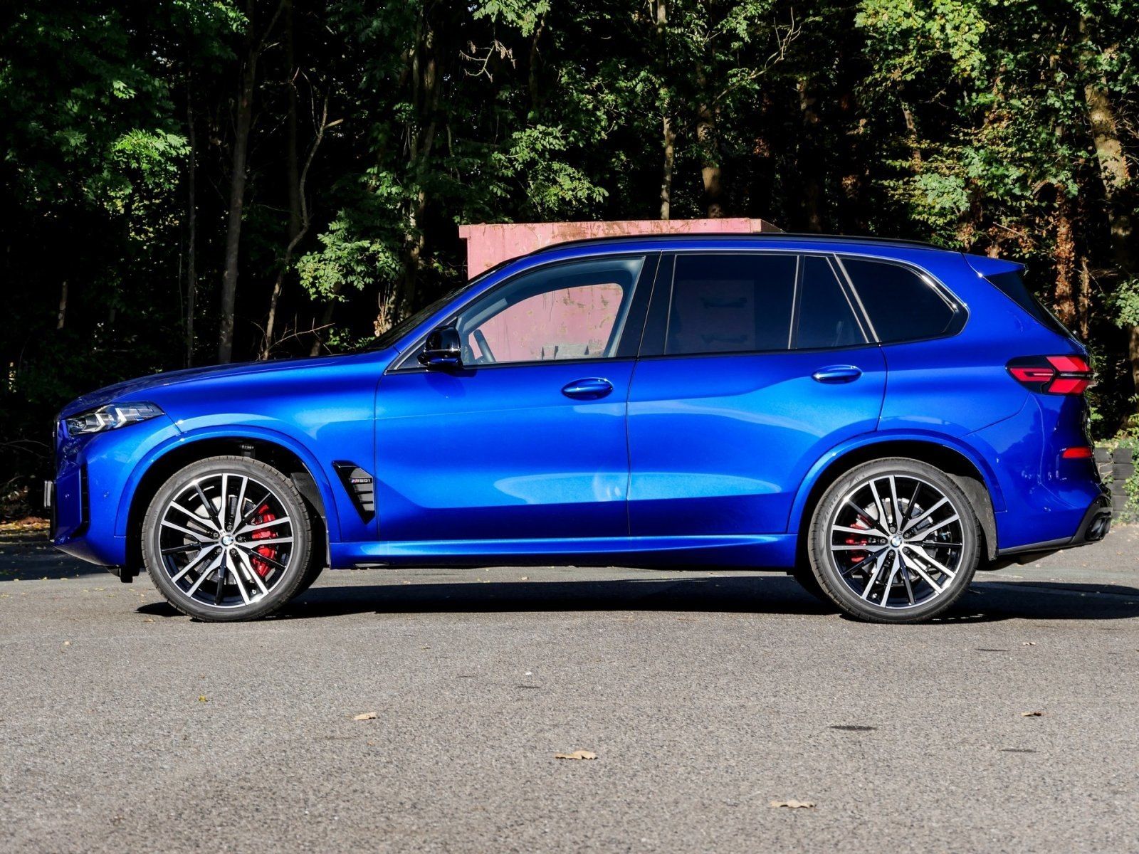 BMW X5 M60 - Bild 20