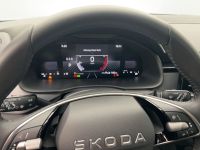Skoda Kamiq - Vorschau Bild 10