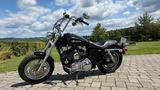 Harley-Davidson Sportster XL 1200 C - Angebote